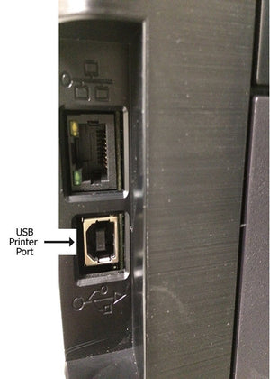 USB2-10AB 10 Ft. USB 2.0 A Male to B Male Cable Beige