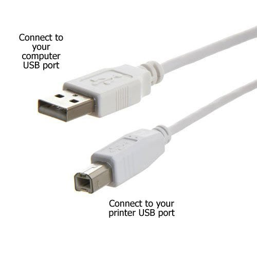 USB2-10AB 10 Ft. USB 2.0 A Male to B Male Cable Beige