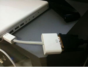 M9321G/B Mini DVI (Male) to DVI-D (Female) Cable Converter Adapter